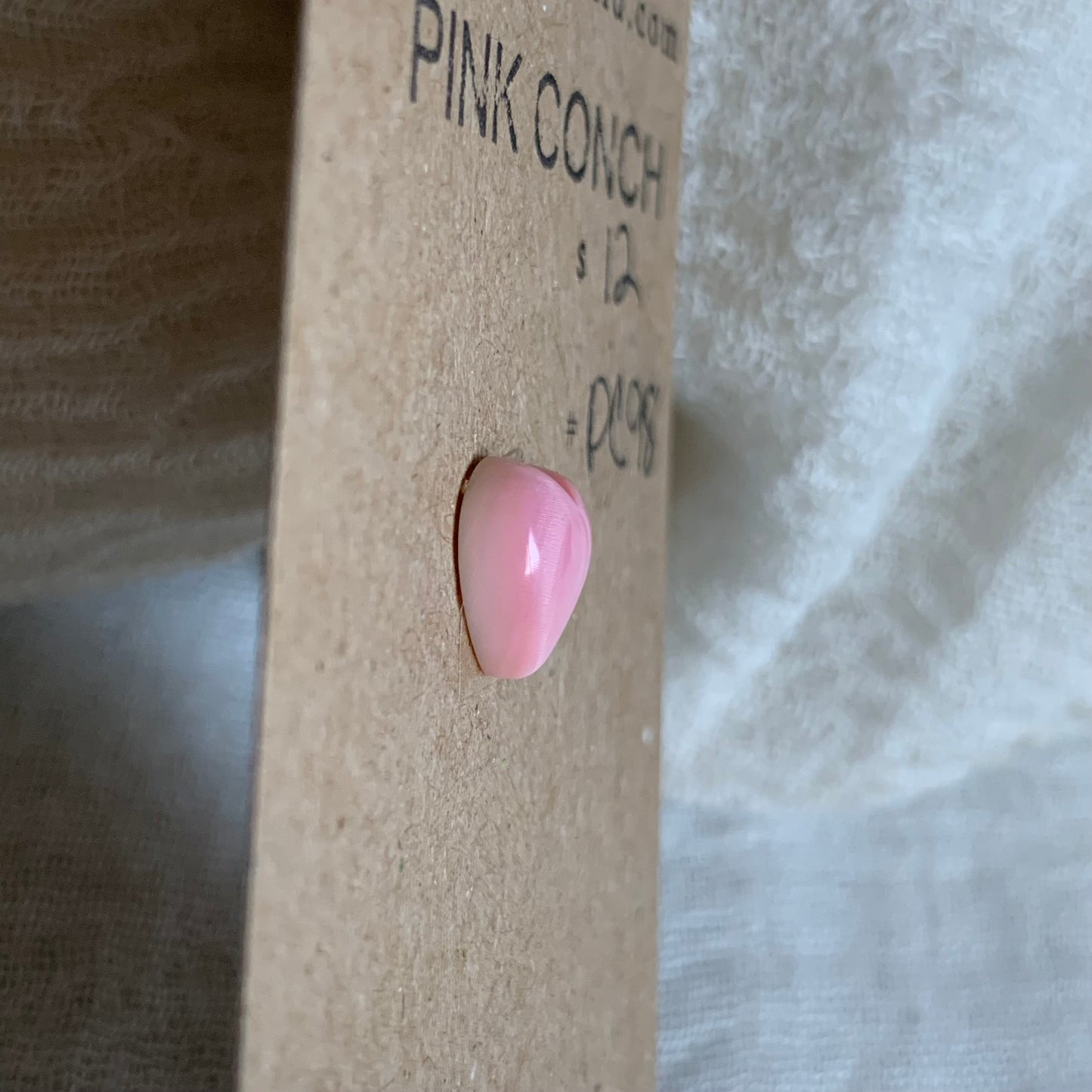 Pink Conch Cabochon - PC98