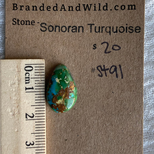 Sonoran Turquoise Cabochon - ST91