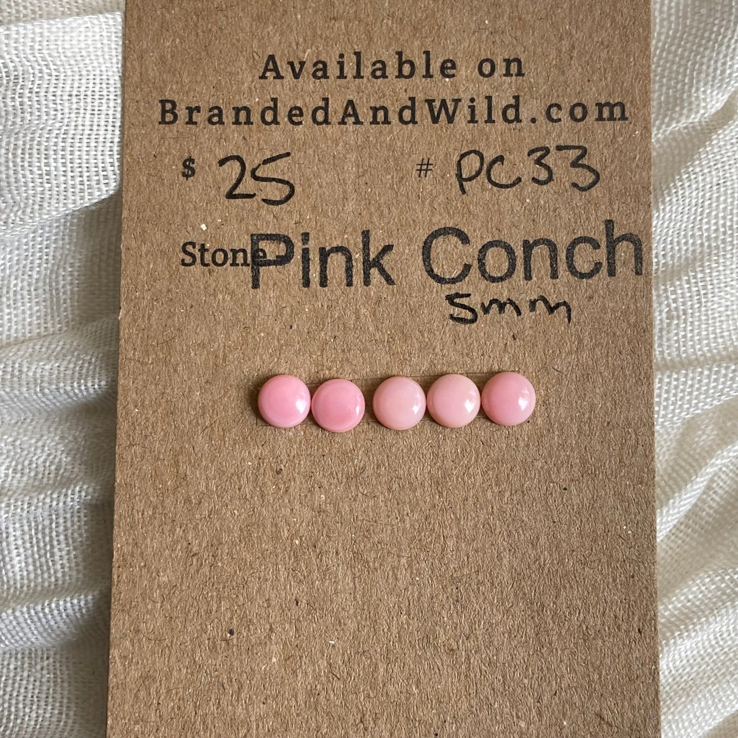 Pink Conch Cabochon - PC33 47970855-BFF1-4440-BFAF-A9C69227FB14 Brandedandwild.com
