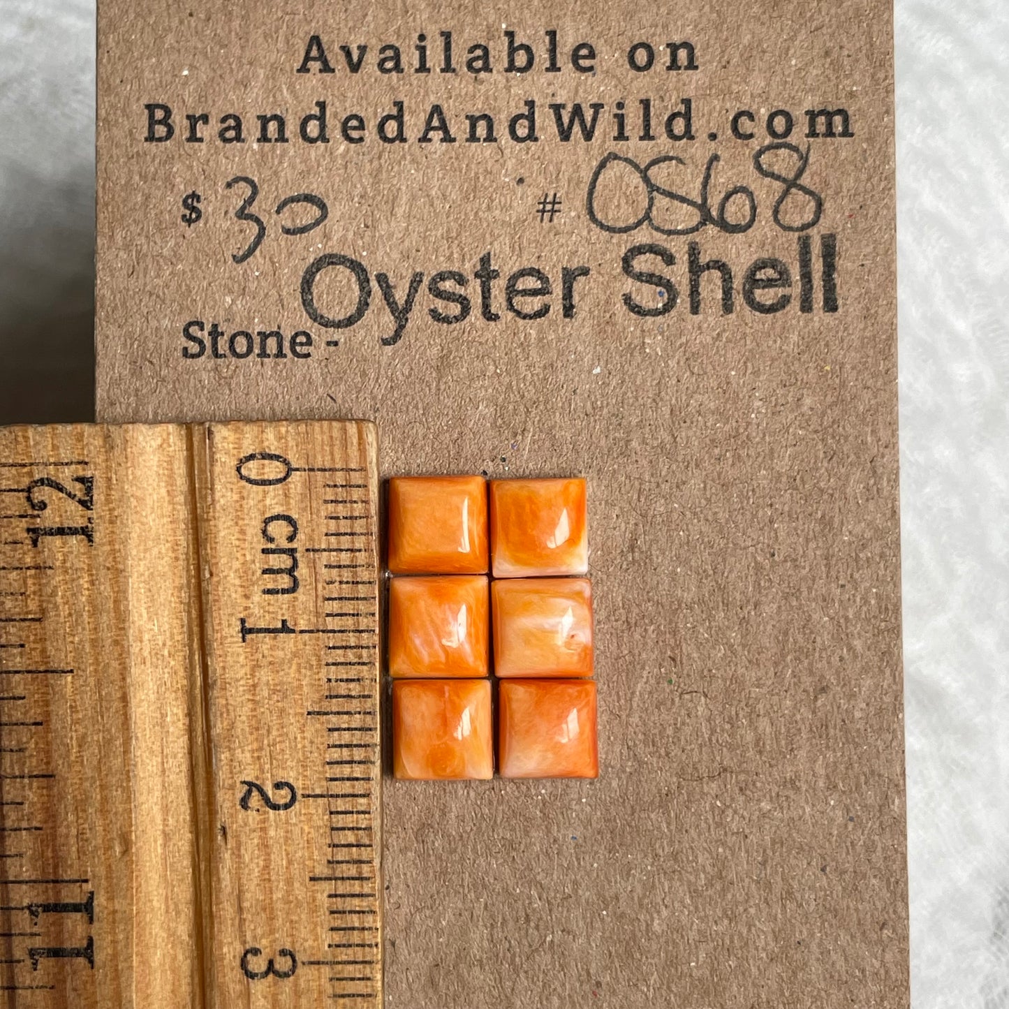 Oyster Shell Cabochon - OS68