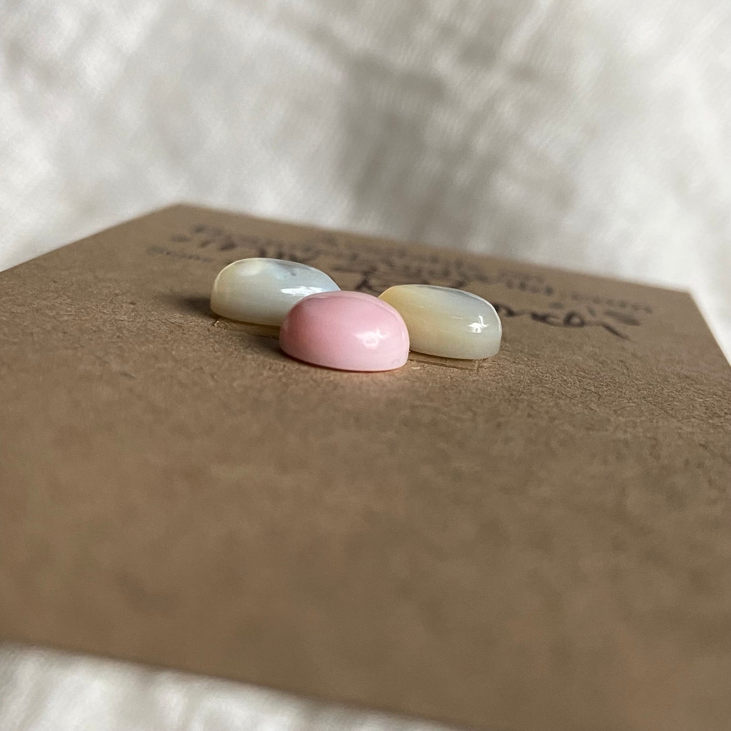 Pink Conch Mix Cabochon - MIX237 47C0920D-E5B8-40C3-8BCB-B7B3AB46FC10 Brandedandwild.com