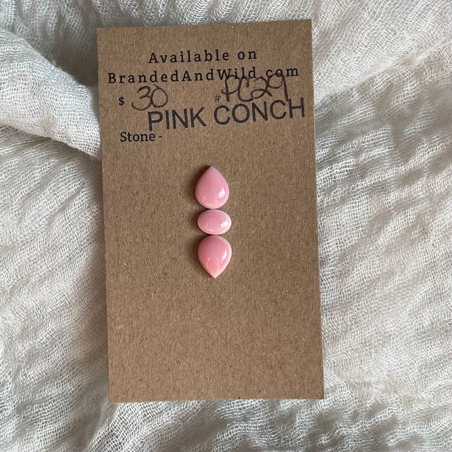 Pink Conch Cabochon - PC29 47F210CB-0A44-498C-99CC-F669EF30584C Brandedandwild.com