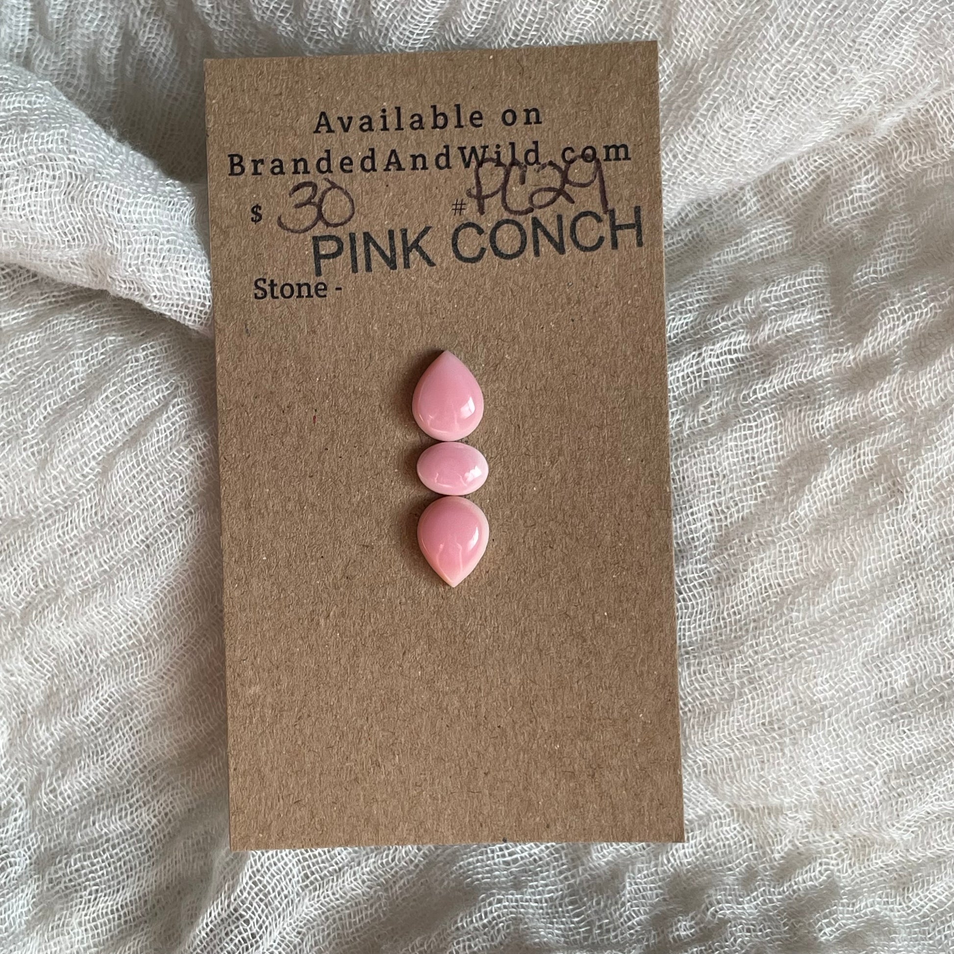 Pink Conch Cabochon - PC29 47F210CB-0A44-498C-99CC-F669EF30584C Brandedandwild.com