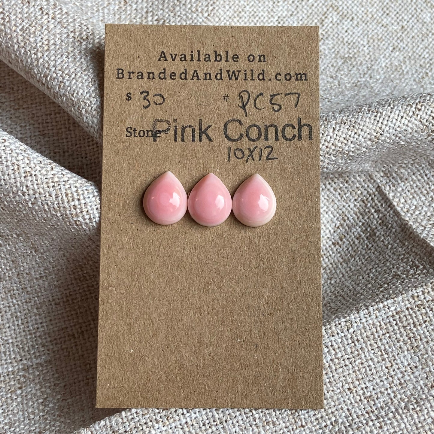 Pink Conch Cabochon - PC57 480AAA6C-E2F5-4157-871C-AB454F686653 Brandedandwild.com