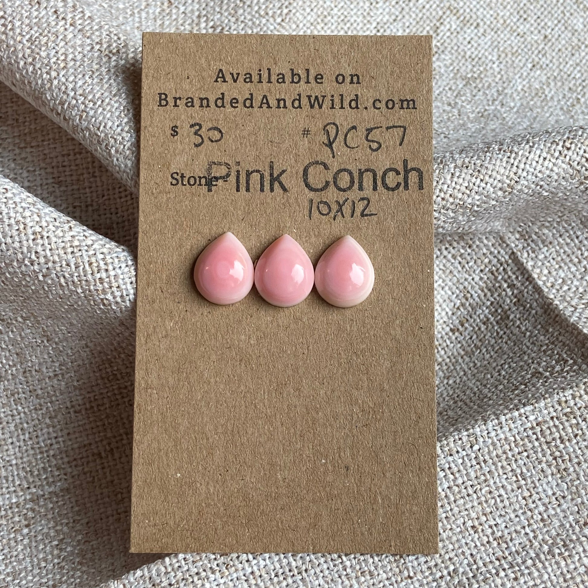 Pink Conch Cabochon - PC57 480AAA6C-E2F5-4157-871C-AB454F686653 Brandedandwild.com