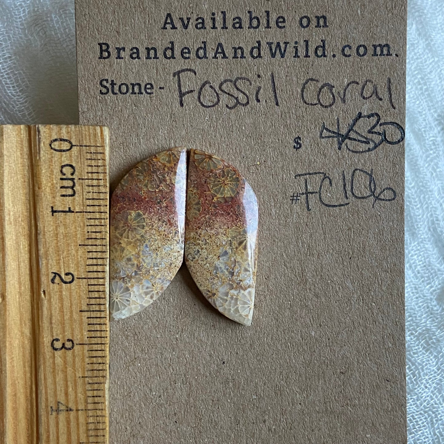 Fossil Coral Cabochon - FC106