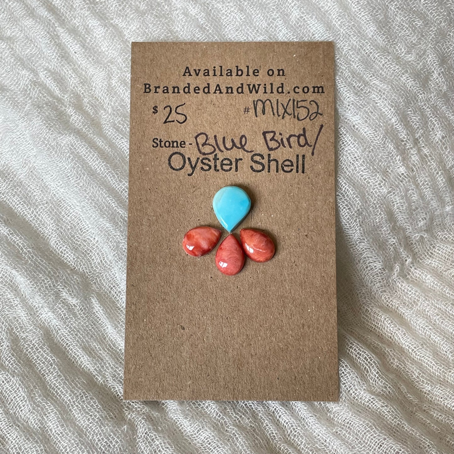Oyster Shell / Blue Bird Cabochon - Mix152 481EA024-952E-43E6-A0B5-E7C975861E59 Brandedandwild.com