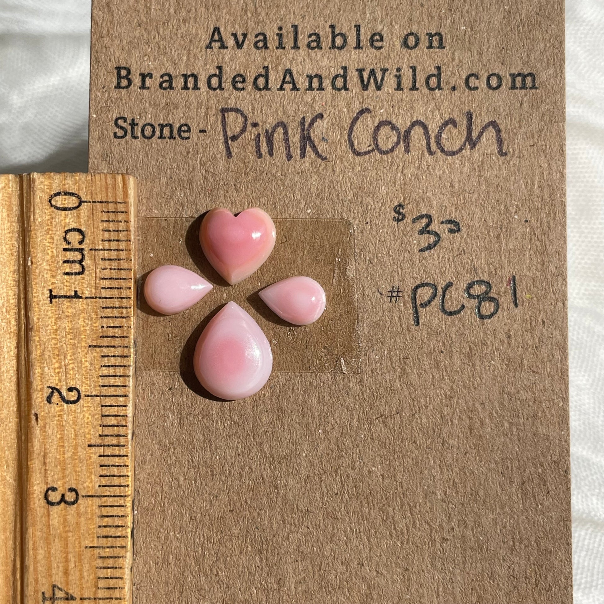 Pink Conch Cabochon - PC81 48285CE9-A9A6-4597-8038-8AD8E78EC288 Brandedandwild.com