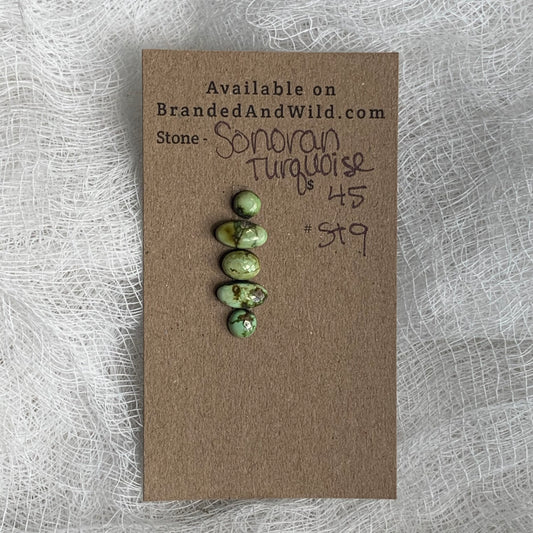 Sonoran Turquoise Cabochon - ST9