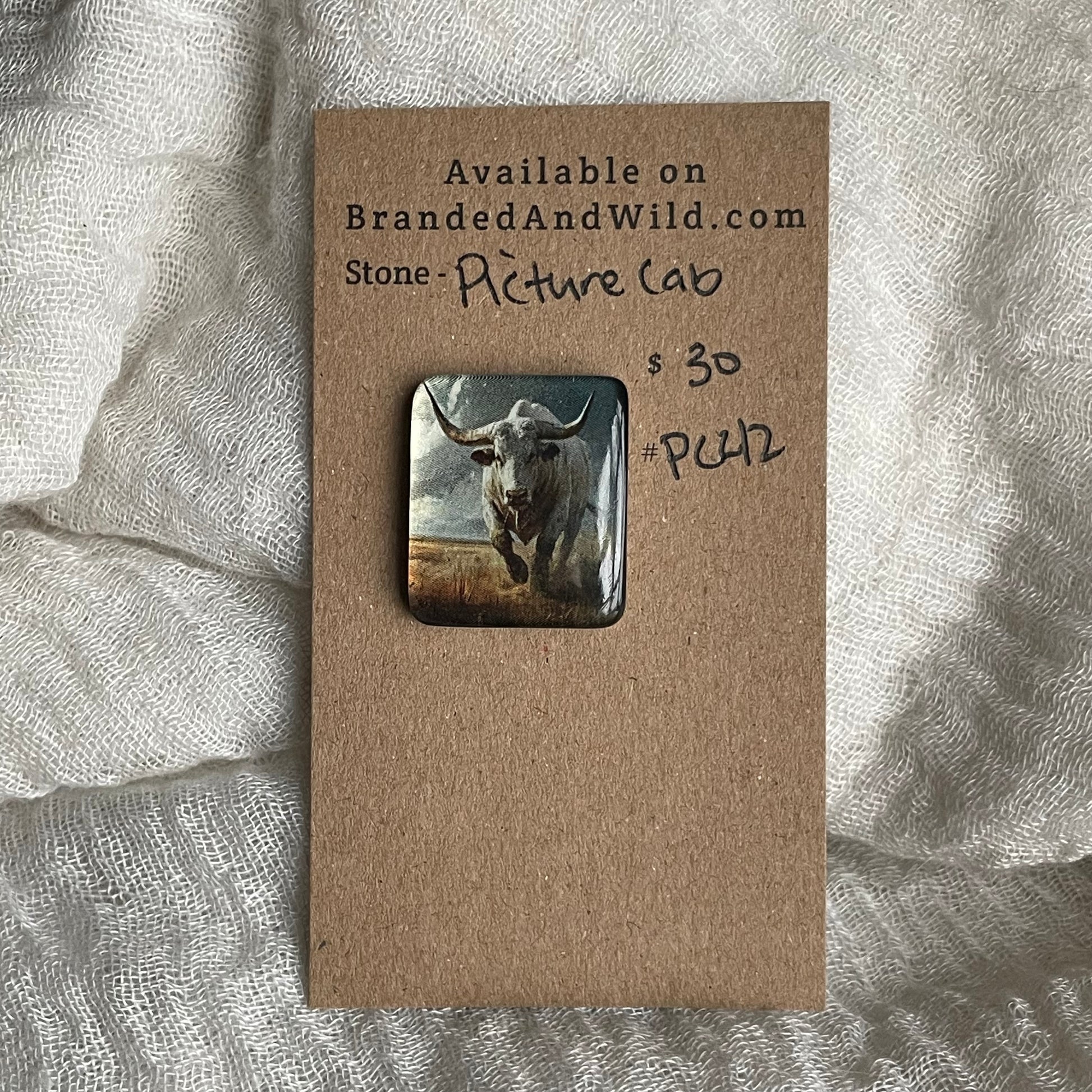 Picture Cabochon - Cabochon - PC42 486D7D13-901D-44EC-8172-1B3E565044CB Brandedandwild.com