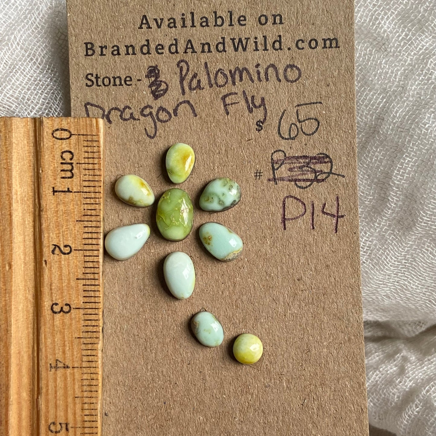 Palomino Cabochon - P14 488567CD-1E97-4BDA-A60C-605149D5C587 Brandedandwild.com