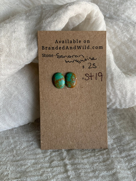 Sonoran Turquoise Cabochon - ST19