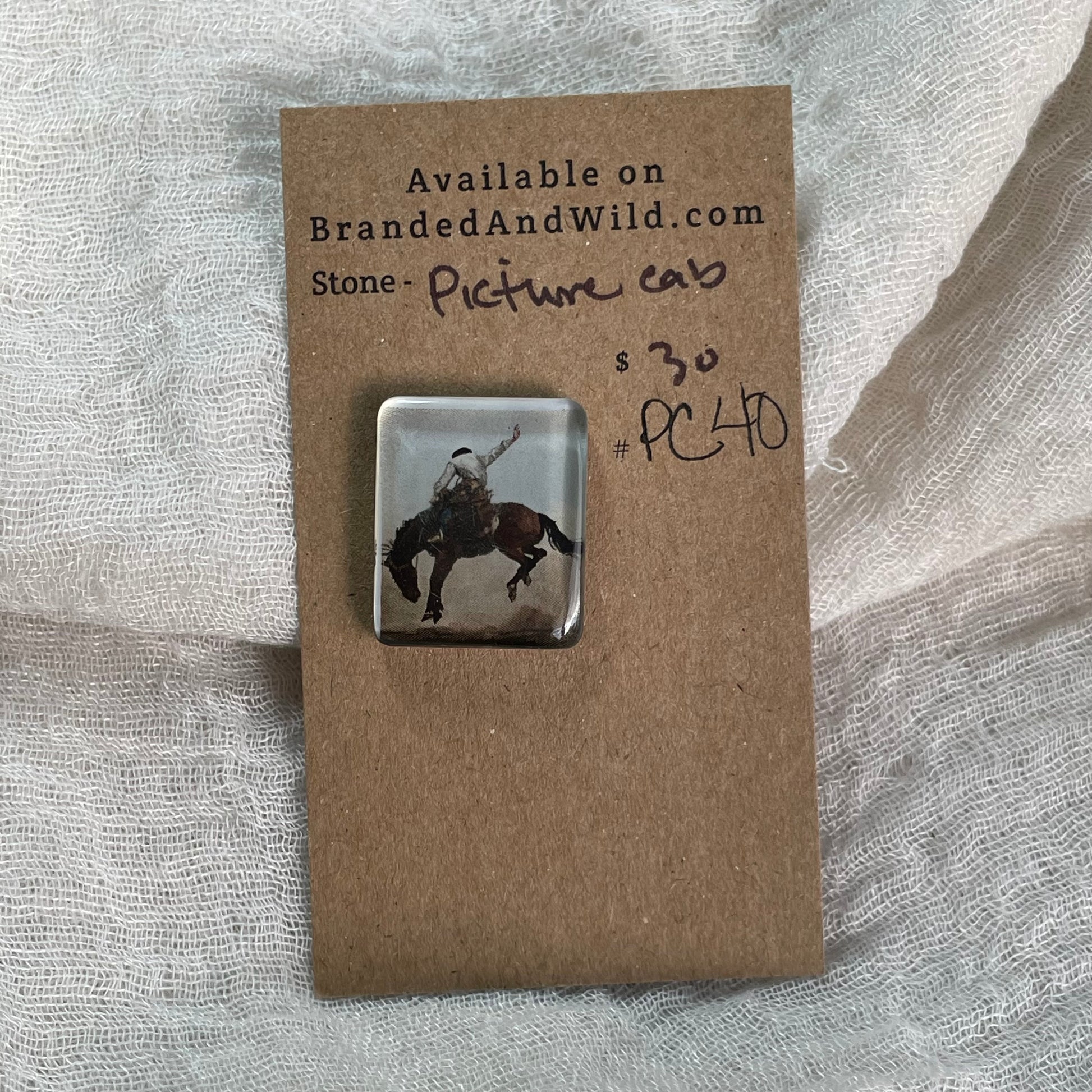 Picture Cabochon - Cabochon - PC40 489AC254-1D71-4600-8B3F-3504F1386A3E Brandedandwild.com