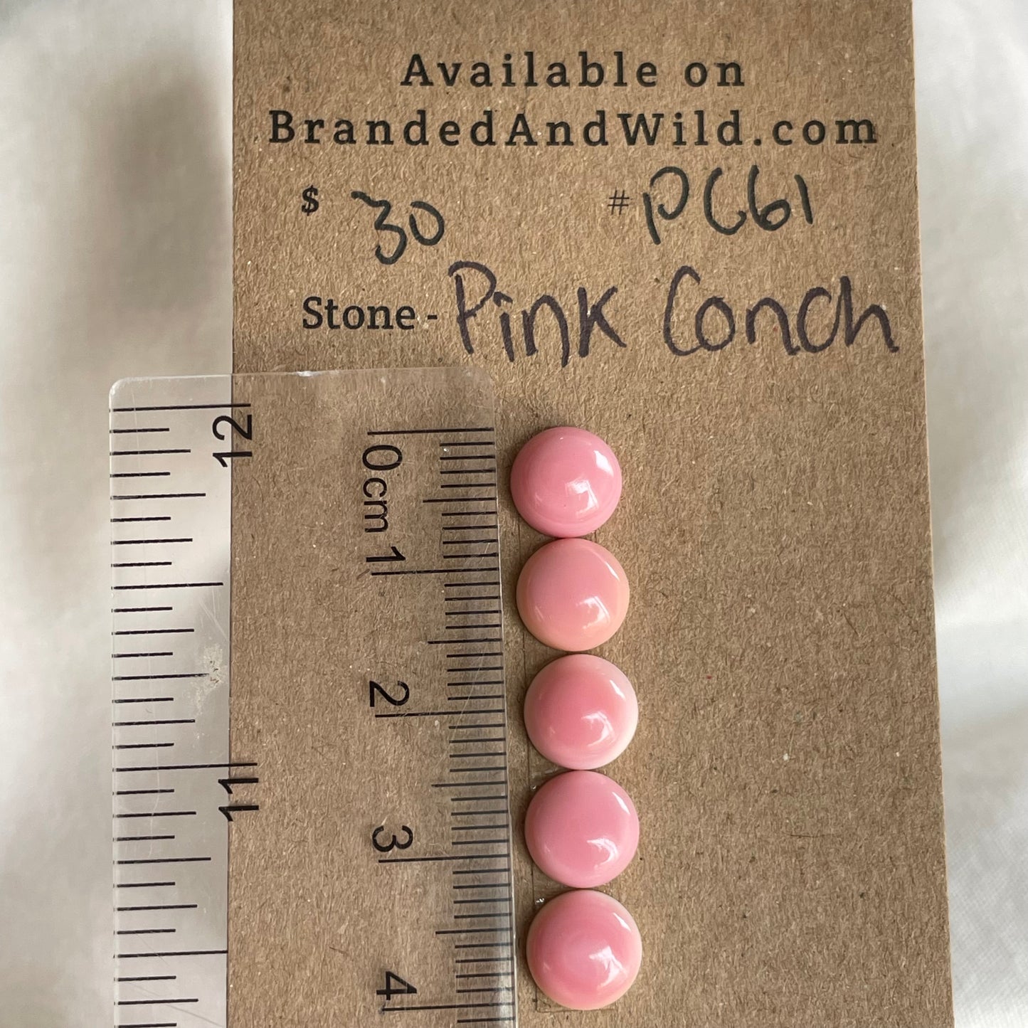 Pink Conch Cabochon - PC61