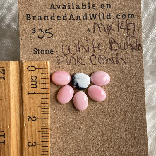 Pink Conch / White Buffalo Cabochon - MIX147 48B8B50B-B622-4E4F-800F-6C0875128437 Brandedandwild.com