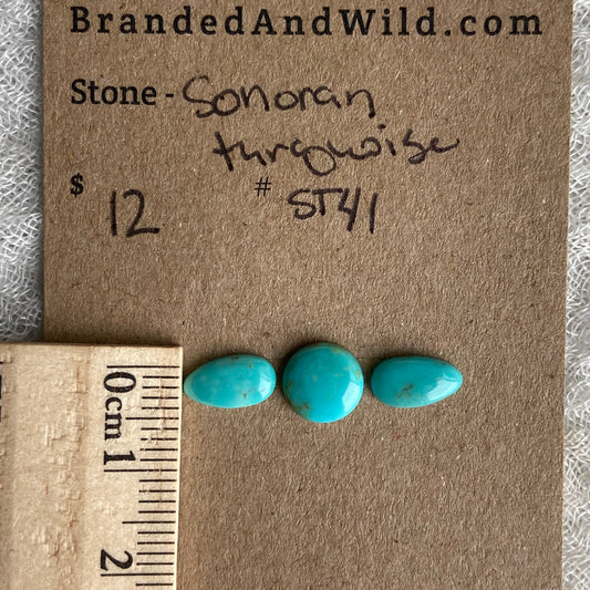 Sonoran Turquoise Cabochon - ST41