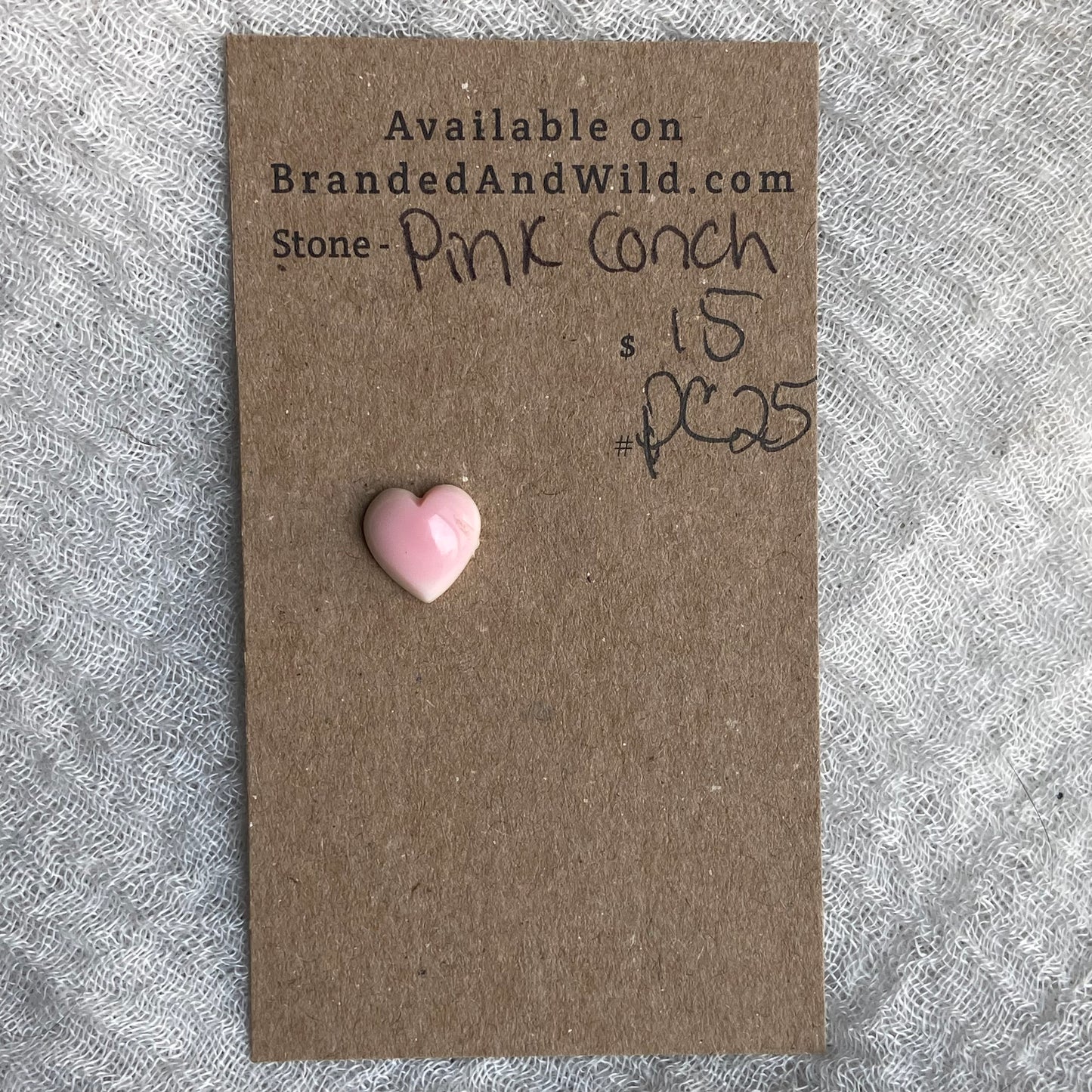 Pink Conch Cabochon - PC25