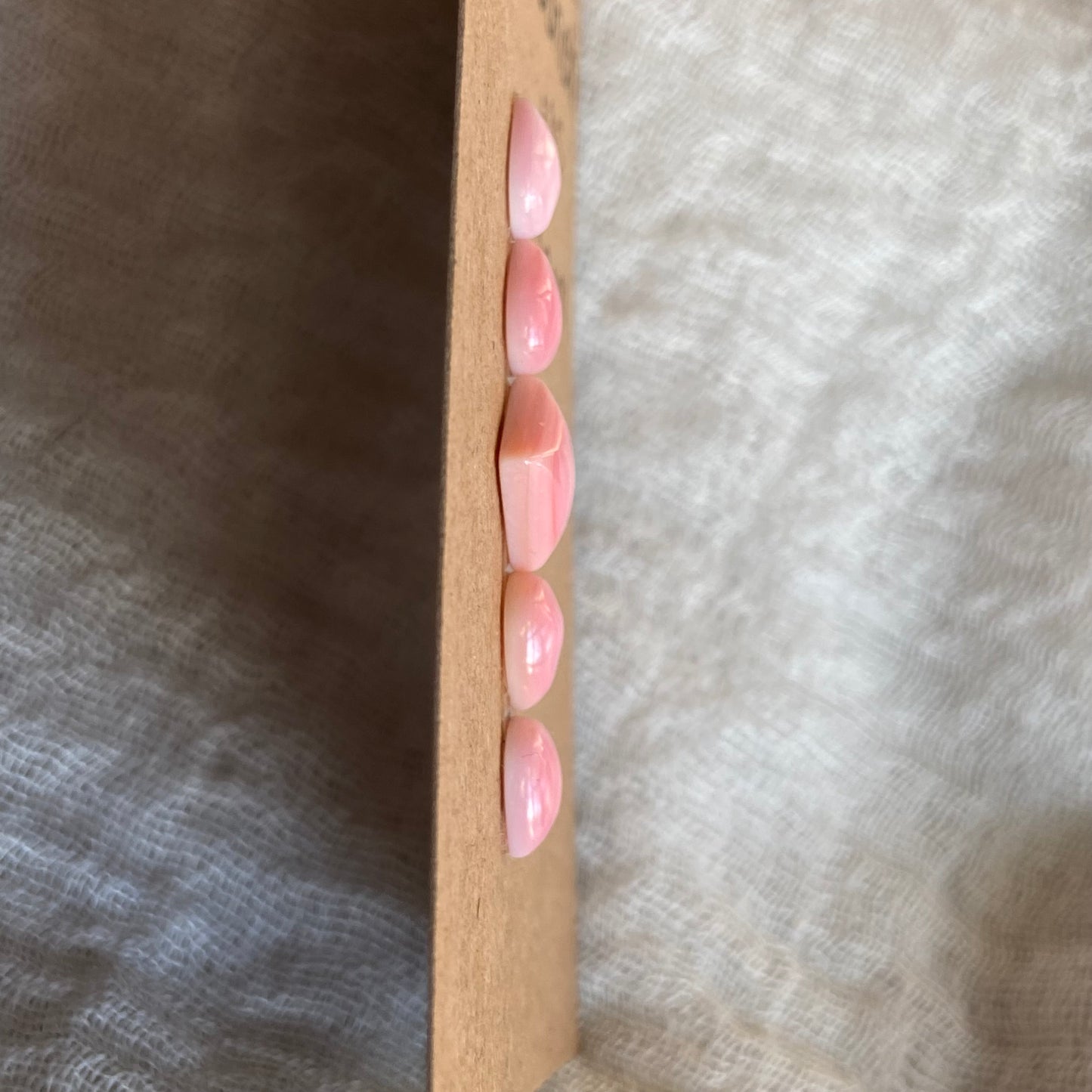 Pink Conch Cabochon - PC71