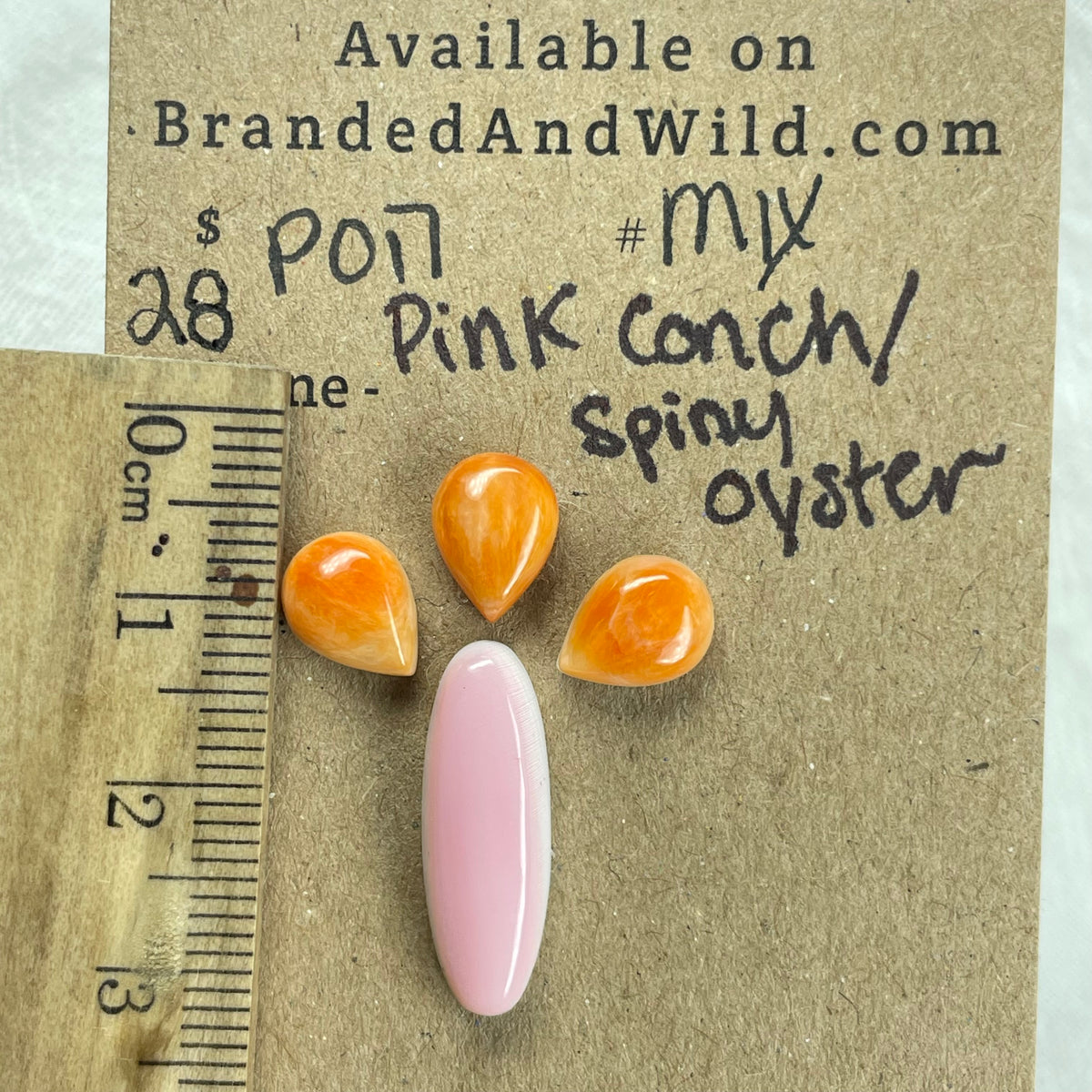 Pink Conch / Oyster Shell Cabochon - PO17 49203B7D-A42C-456A-8024-BAD6B46FF1FE Brandedandwild.com