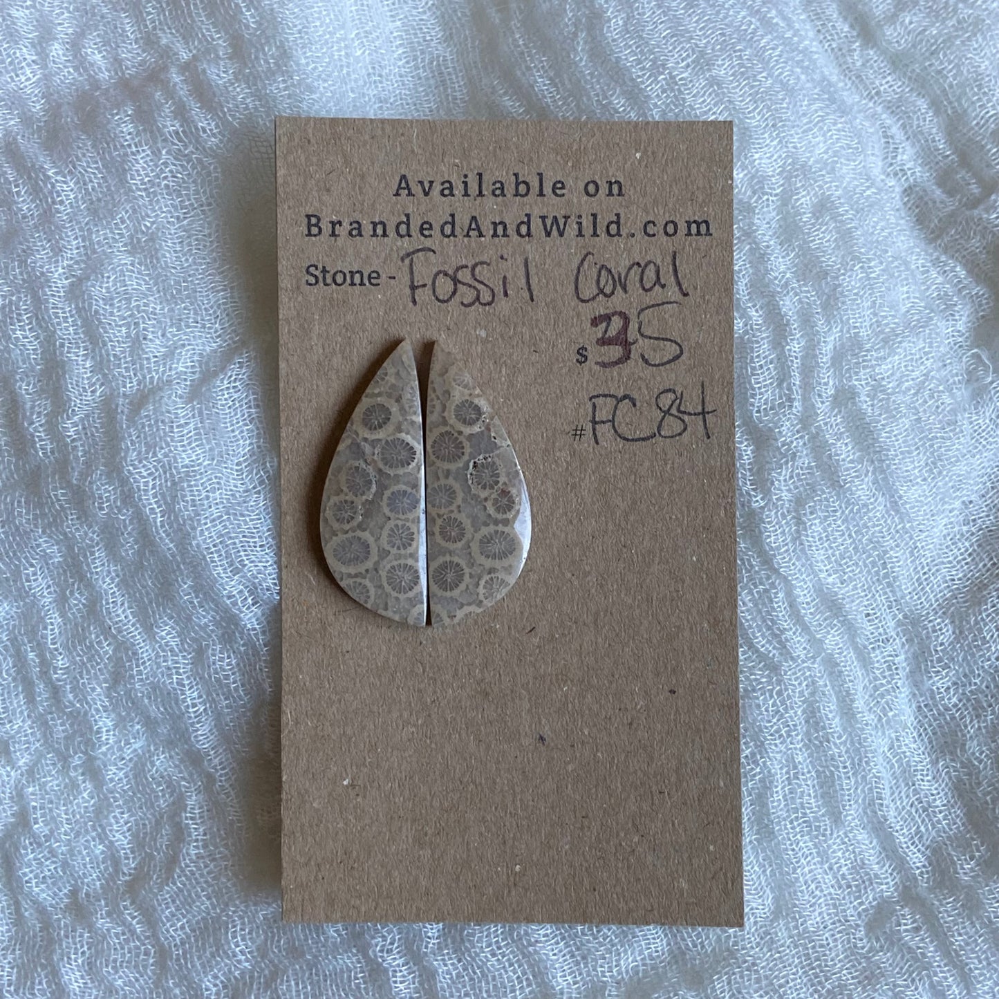 Fossil Coral Cabochon - FC84