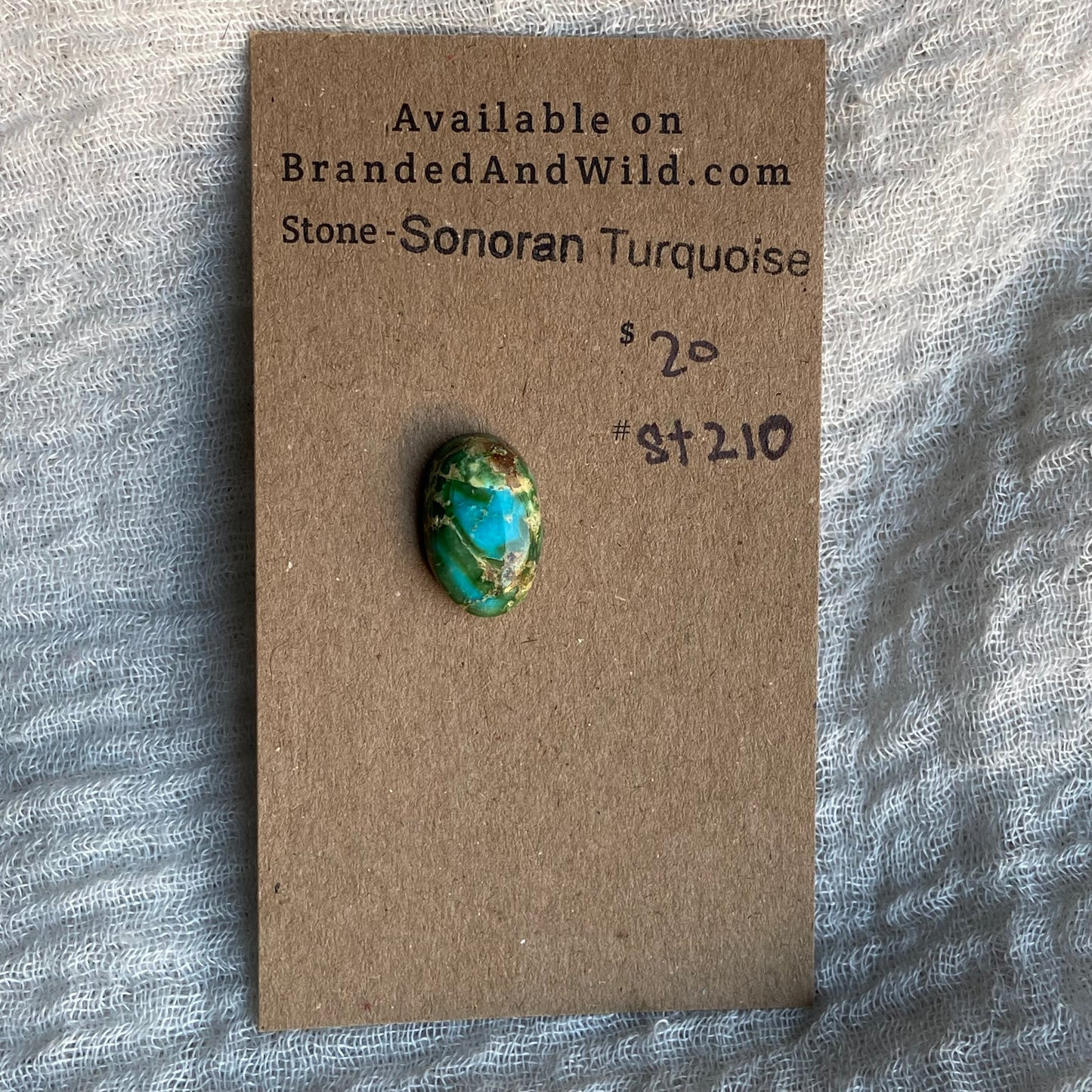 Sonoran Turquoise Cabochon - ST210