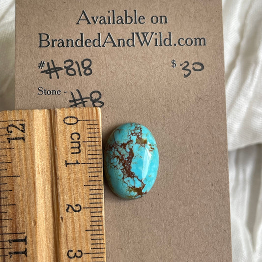 #8 Turquoise Cabochon - #818 49A03690-A7E2-4B7E-9A3A-AA598C44CECA Brandedandwild.com