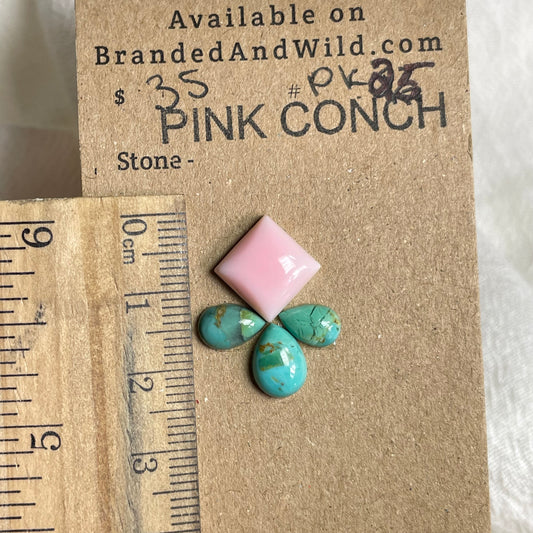 Pink Conch / Kingman Turquoise Cabochon - PK25 49B0BD5C-17F3-4BCE-8E84-839B32D2D569 Brandedandwild.com