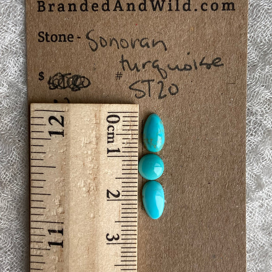Sonoran Turquoise Cabochon - ST20