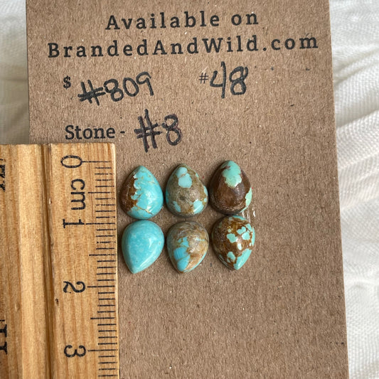 #8 Turquoise Cabochon - #809 49E89808-0D38-4045-868C-28BA30284DE5 Brandedandwild.com