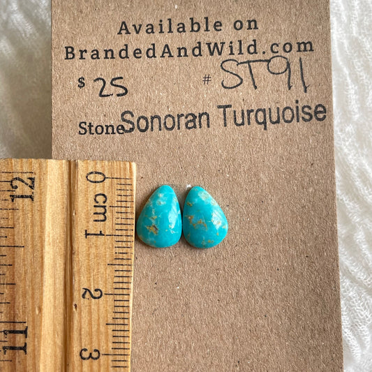 Sonoran Turquoise Cabochon - ST91 49F47CAF-B953-4926-8308-1390552A1F86 Brandedandwild.com