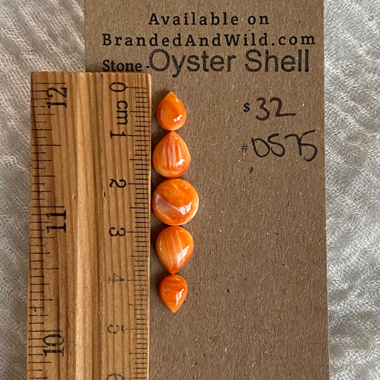 Oyster Shell Cabochon - OS75