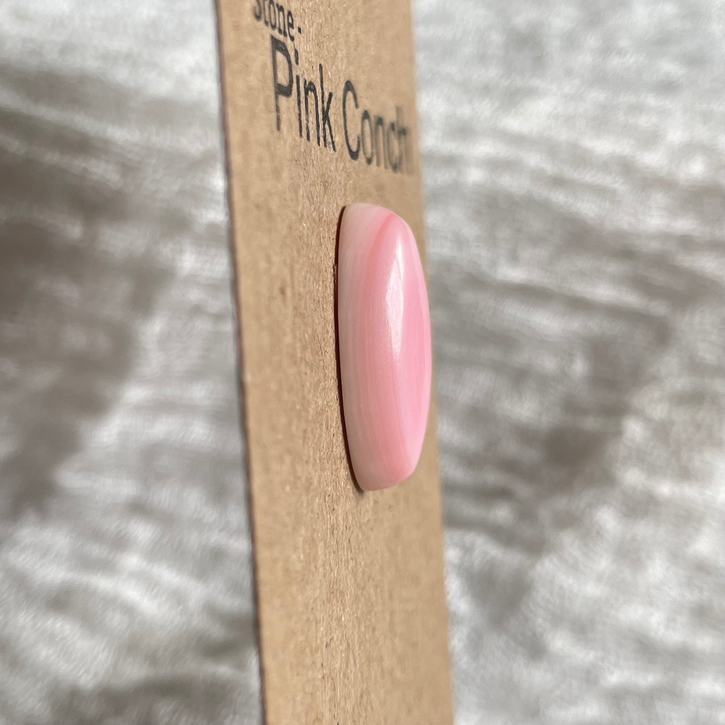Pink Conch Cabochon - P01 4A0B7198-A733-4C8B-9855-649096440509 Brandedandwild.com