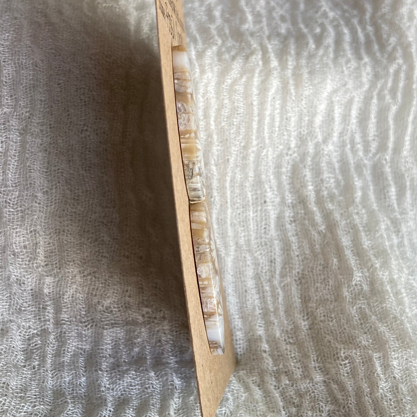 Fossil Coral Cabochon - FC44