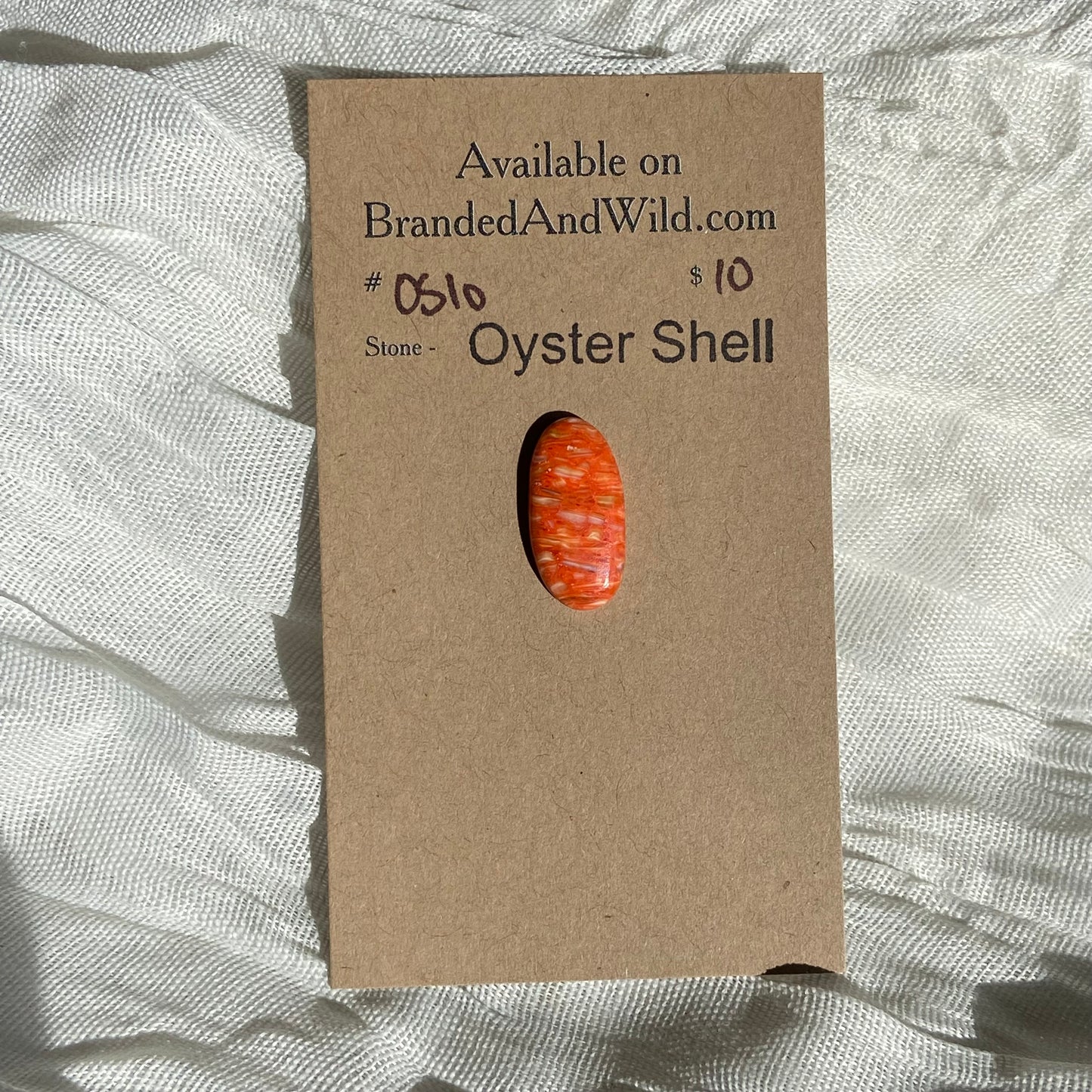 Oystershell Cabochon - OS10 4A3AD2CF-E00D-4AEC-B624-33F0F4D31E76 Brandedandwild.com