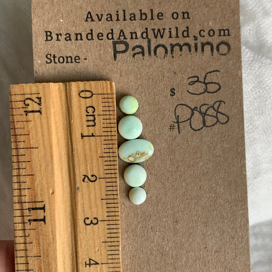 Palomino Cabochon - P088