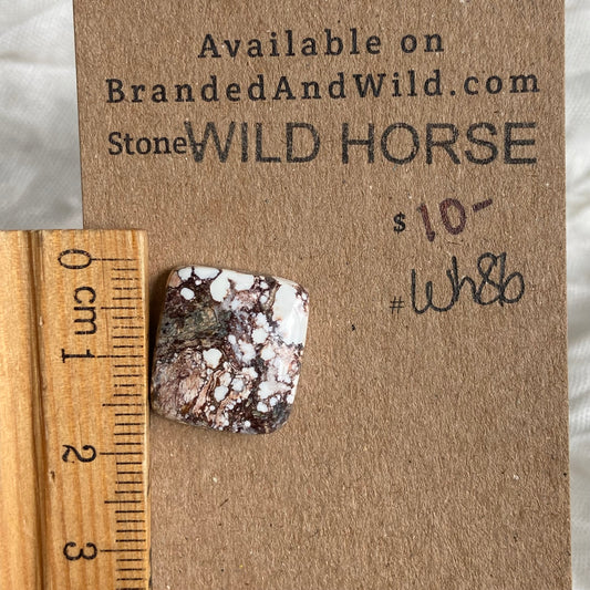 Wild Horse Cabochon - WH86 4A728192-7D04-4D02-8F06-3C478A412A3F Brandedandwild.com