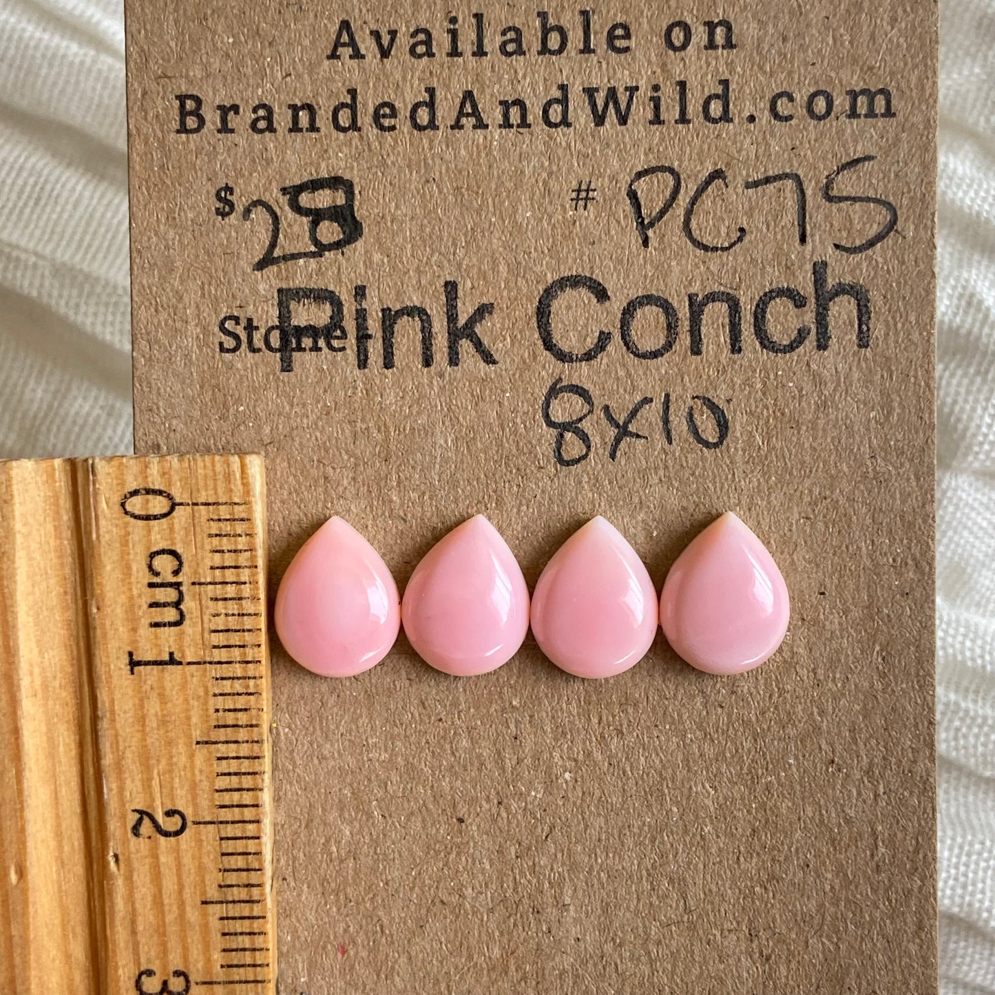 Pink Conch Cabochon - PC75