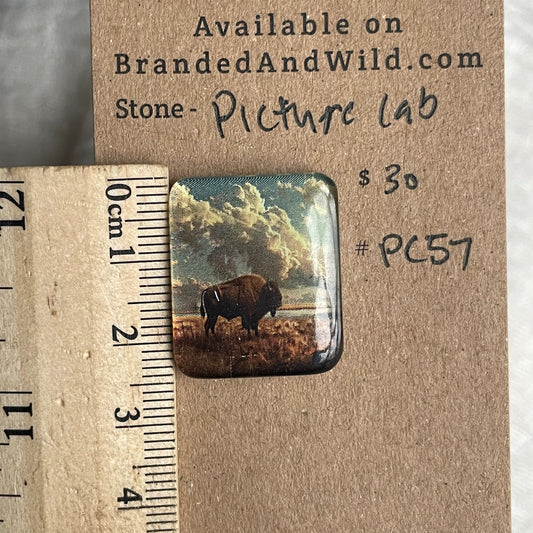 Picture Cabochon - Cabochon - PC57 4AC4044F-B089-4270-9892-760475AED695 Brandedandwild.com