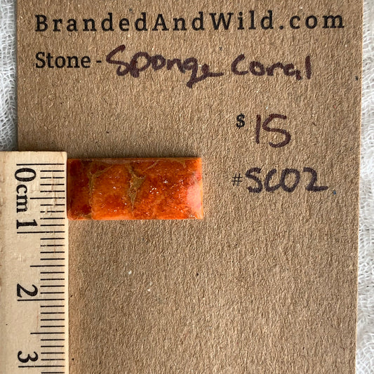 Sponge Coral Cabochon - SC02