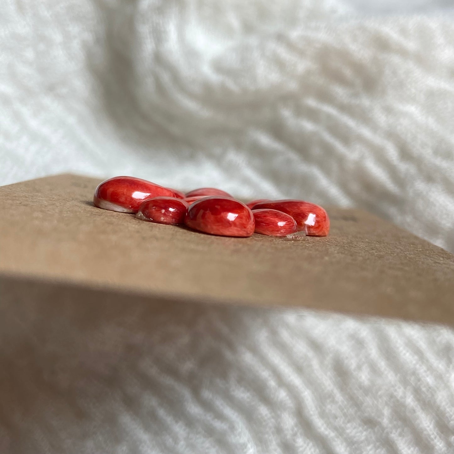 Oyster Shell Cabochon - OS78