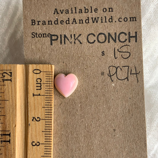 Pink Conch Cabochon - PC74