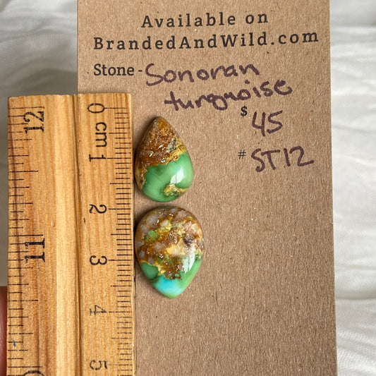 Sonoran Turquoise Cabochon - ST12 4AE66CA9-AED3-42DC-883A-C411C0B680F0 Brandedandwild.com