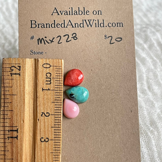 Oyster Shell Mix Cabochon - MIX228 4B23D6F2-CDA8-4F8A-A112-D81C0095E7D3 Brandedandwild.com