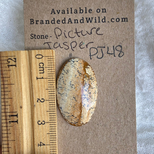 Picture Jasper Cabochon - PJ48