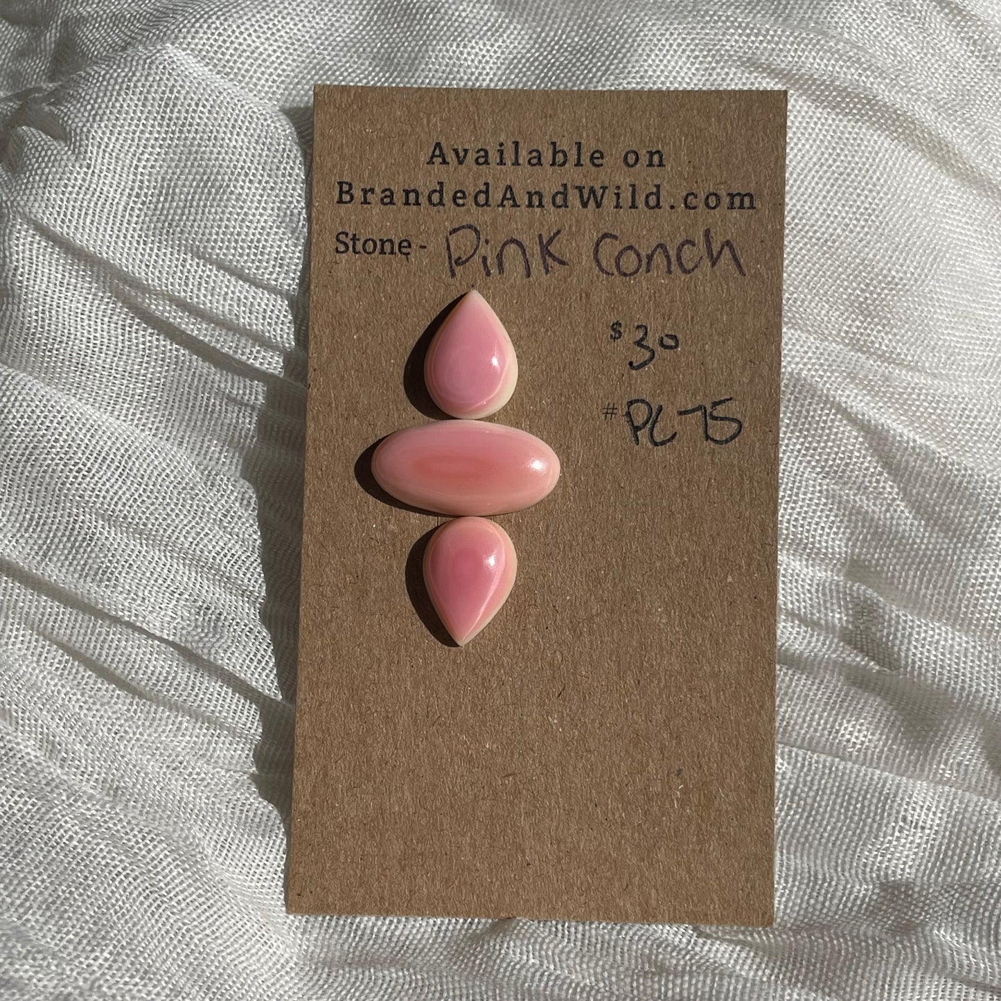 Pink Conch Cabochon - PC75 4B3029F6-DC50-4A87-9FA1-5752DA68D393 Brandedandwild.com