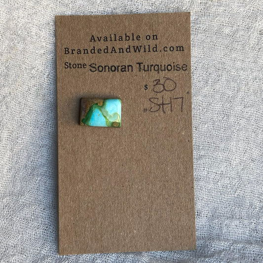 Sonoran Turquoise Cabochon - ST17