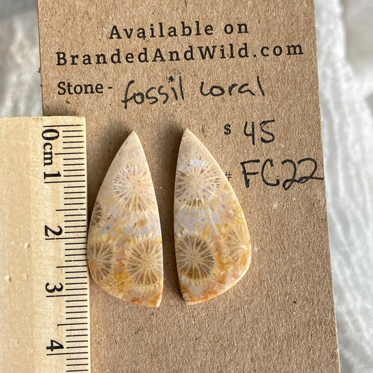 Fossil Coral Cabochon - FC22