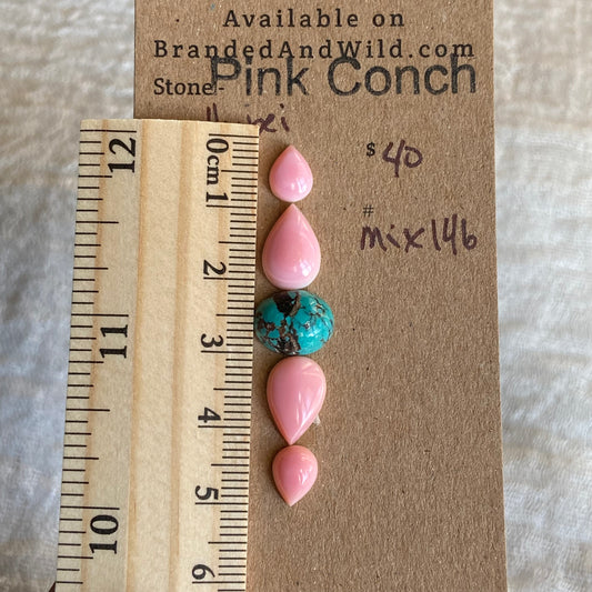 Pink Conch/Hubei Cabochon - Mix146