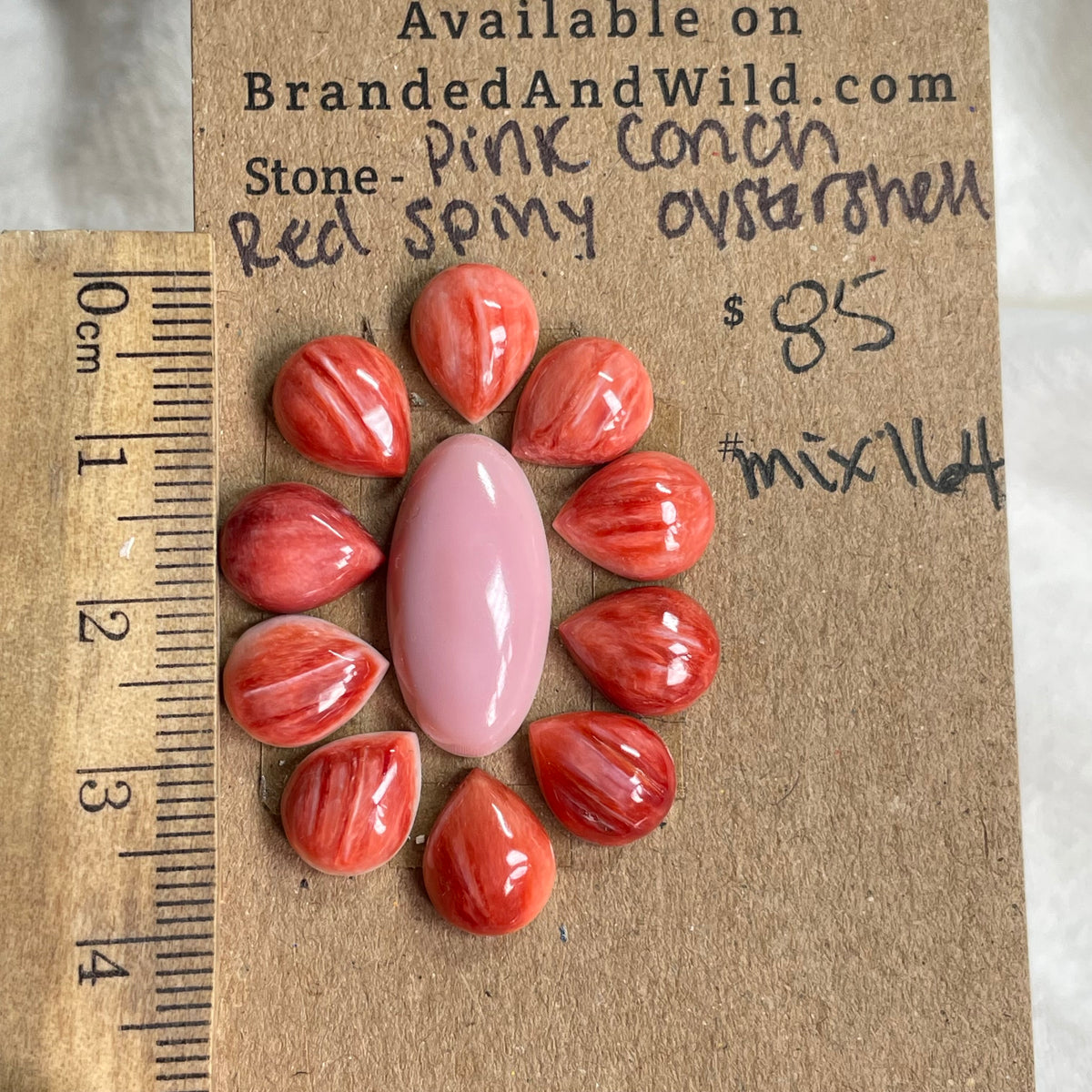 Oyster Shell / Pink Conch Cabochon - Mix164 4BFE8626-DEC1-4E48-BCE5-09A1E0DD9926 Brandedandwild.com