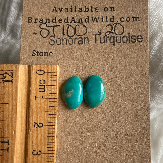 Sonoran Turquoise Cabochon - ST100 4C0D7BC7-CC17-47AA-8BFC-BBC42D5FDD0B Brandedandwild.com